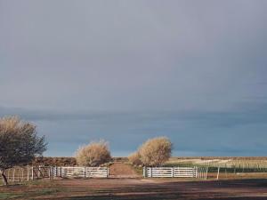 a white fence in a field with trees at Estancia TATAY in Trelew +37 photos