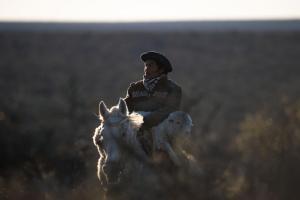 a man riding a horse with a sheep at Estancia TATAY in Trelew