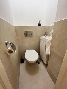 a small bathroom with a toilet and a sink at Ady1 Apartment in Kaposvár