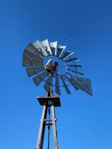 a bird sitting on top of a windmill at Estancia TATAY in Trelew