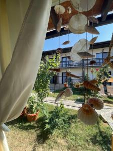 a group of mushrooms are hanging from a building at CASA SMARALD in Costinesti