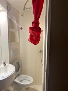 a bathroom with a toilet and a red curtain at For Student Only City Living Studios in the heart of Coventry at Market Way in Coventry