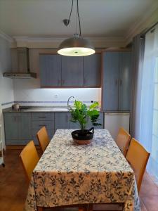 uma cozinha com uma mesa com um vaso de plantas em Apartamento Alagoa Azul em Altura