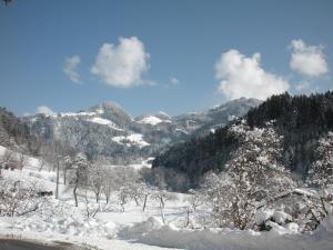 Stegerbauer during the winter