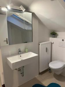a bathroom with a sink and a toilet and a mirror at Helle, ruhige Ferienwohnung mit Balkon in Bad Tölz