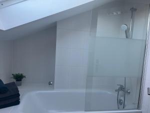 a bathroom with a shower with a glass door at Helle, ruhige Ferienwohnung mit Balkon in Bad Tölz