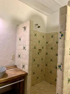 a bathroom with a shower with green and white tiles at CasaBambu Taxco in Taxco de Alarcón