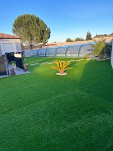 a green lawn with a plant in a yard at Bienvenu chez nous in Douzens