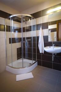 A bathroom at Pandora Zsóry Apartmanok Mezőkövesd