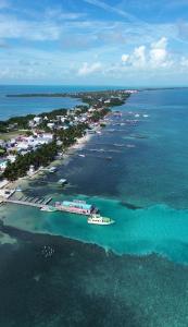 z powietrza widok na małą wyspę w oceanie w obiekcie The Coral Casa w Caye Caulker