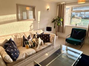 a dog sitting on a couch in a living room at KB99 Comfy 2 Bedroom House in Horsham, pets very welcome with easy links to London and Gatwick in Roffey