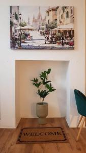 a potted plant sitting on a floor in a room at Blue Door Cottage in Meanwood