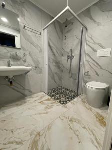 ein Bad mit einer Dusche, einem WC und einem Waschbecken in der Unterkunft Titta & Ruffo in Pisa