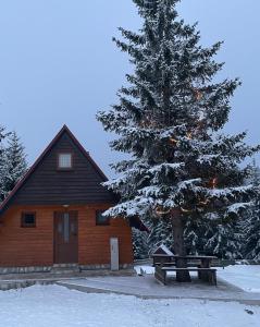 a cabin with a christmas tree and a picnic table at Bungalows Krstajić in Žabljak