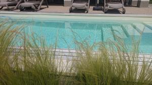 Bazén v ubytovaní Relax Balaton Apartmanok alebo v jeho blízkosti