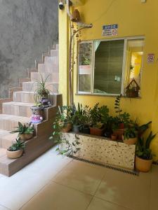 a building with a bunch of potted plants on the stairs at Residencial Morro de São Paulo in Morro de São Paulo