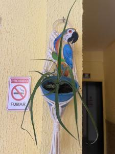 a parrot in a glass vase next to a plant at Residencial Morro de São Paulo in Morro de São Paulo