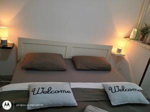 two beds in a small room with two pillows at Hostel Lega House in Osijek