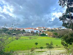 a large green field with houses in the background at Casa da Horta in Canha