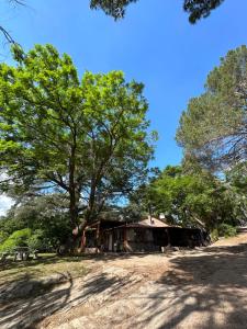 a house with a tree in the middle of a field at Casa del lago in Embalse