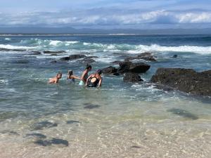 a group of people standing in the water at the beach at Aloe Studio in Jeffreys Bay