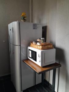 d'un four micro-ondes et d'un réfrigérateur sur une table. dans l'établissement Carileufu, à Comandante Luis Piedrabuena