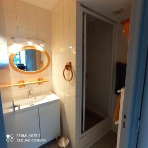a bathroom with a shower and a sink and a mirror at Évasion à Luz in Luz-Saint-Sauveur