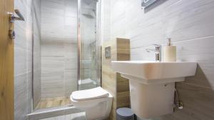 un bagno con wc, lavandino e doccia di Mountain Mirage a Mojkovac Altre 28 foto