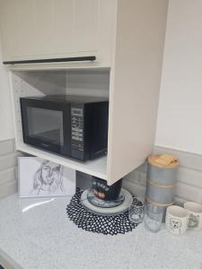 un four micro-ondes installé au-dessus d'un comptoir de cuisine dans l'établissement Converted garage ensuite, à Bristol