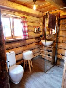ein Badezimmer mit einem WC und einem Waschbecken in einer Blockhütte in der Unterkunft Naturstammhaus Pauker in Klagenfurt am Wörthersee