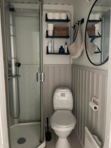 uma pequena casa de banho com WC e chuveiro em Small house central Parainen by Archipelago Trail em Pargas