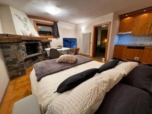 a bedroom with a large bed and a fireplace at Bait da Diego in Livigno