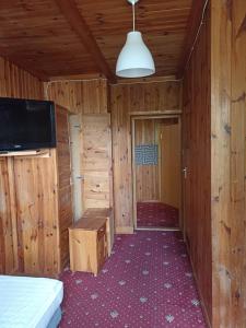 a room with a bed and a tv in a cabin at Green House in Wola Przypkowska