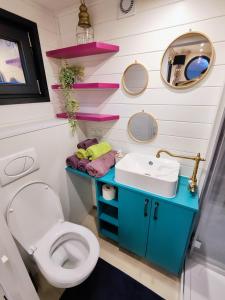 een badkamer met een toilet en een wastafel bij La mini maison dans la prairie in Libin