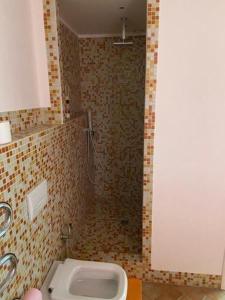 een badkamer met een douche en een toilet. bij Agriturismo I Tassoni in Pavullo nel Frignano