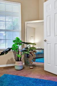 a bedroom with a bed and a potted plant at Aqueous - A Birdy Vacation Rental in San Antonio