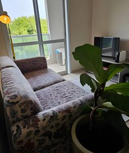 a living room with a couch and a plant at Edíficio Sienna in Ribeirão Preto