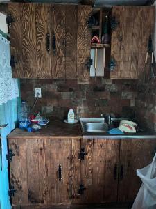eine Küche mit einer Spüle und Holzschränken in der Unterkunft Vikendica Pantic in Bijeljina