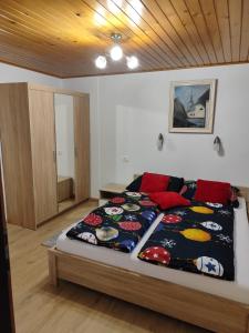 克拉尼斯卡戈拉Apartment Stefka的一间卧室配有一张带彩色毯子的床