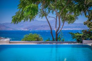 einen Pool mit Blick auf das Wasser in der Unterkunft Montana Villa in Stelida