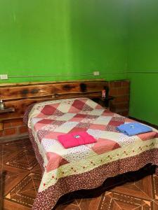 a bed in a green room with a quilt on it at hospedaje don mario in San Ignacio