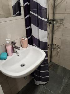 y baño con lavabo y ducha. en Oaza Apartment Mirijevo, Free Garage Parking en Belgrado