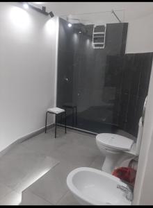 La salle de bains est pourvue de toilettes, d'une douche et d'un lavabo. dans l'établissement B&B Etnea Palace, à Catane