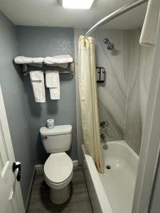 a bathroom with a toilet and a shower and a sink at Midtown Lodge in Jacksonville