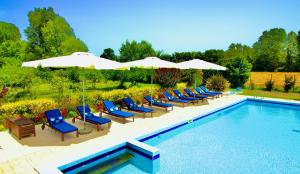 a swimming pool with blue chairs and umbrellas next to a swimming pool at CA' LEONE - Sans Souci - Apartment with Pool in Mira