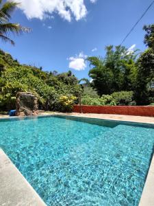 皮雷諾波利斯的住宿－Chácara Vale Dourado，拥有蓝色海水和树木的游泳池