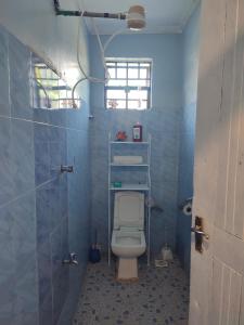 La salle de bains est pourvue de toilettes dans un mur bleu. dans l'établissement Beautiful and Affordable 1brm in Milimani, à Kisumu