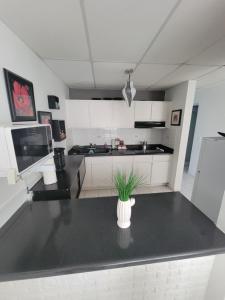 a kitchen with a vase with a plant on a counter at MF Vacation Homes Villa 2 in Loiza