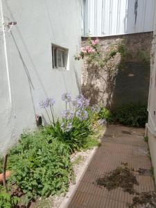 un giardino con fiori viola accanto a un edificio di Departamento ph amplio necochea Rotonda a Necochea