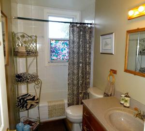 a bathroom with a shower and a toilet and a sink at Safari Getaway in Orono